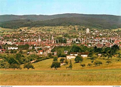 Michelstadt Panorama