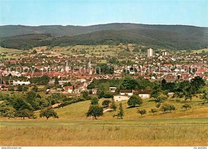 Michelstadt Panorama