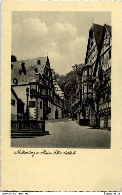 Miltenberg am Main - Schnatterloch