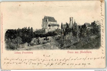 13918196 - Mindelheim