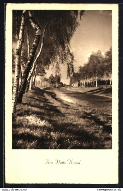 AK Mittenwalde, Am Notte Kanal, Ufer mit Birken