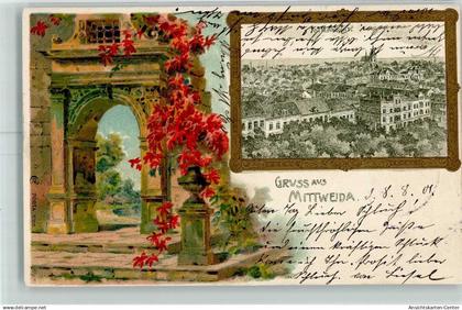 13424365 - Mittweida