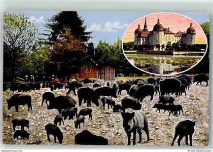 10658205 - Moritzburg