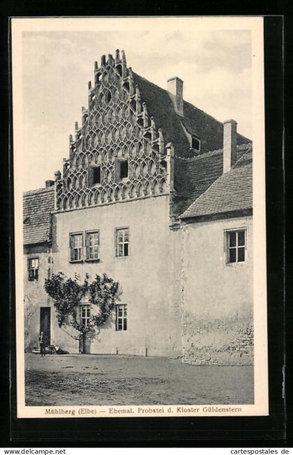 AK Mühlberg, Ehemalige Probstei des Kloster Güldenstern