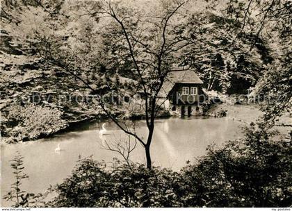 Muelheim Ruhr Witthausbusch