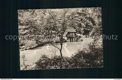 Muelheim Ruhr Witthausbusch