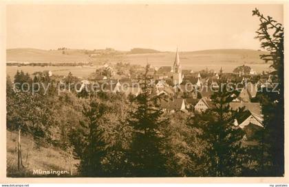 Muensingen Panorama