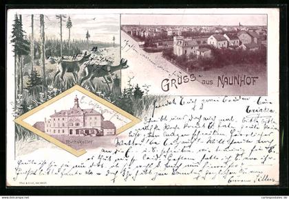 AK Naunhof, Gesamtansicht, Ratskeller