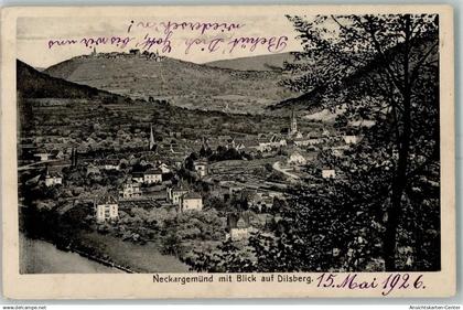 10485043 - Neckargemuend