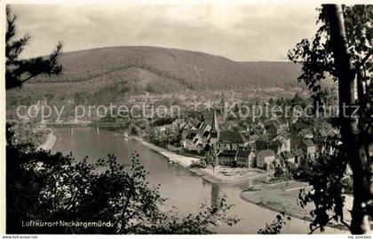 Neckargemuend Panorama
