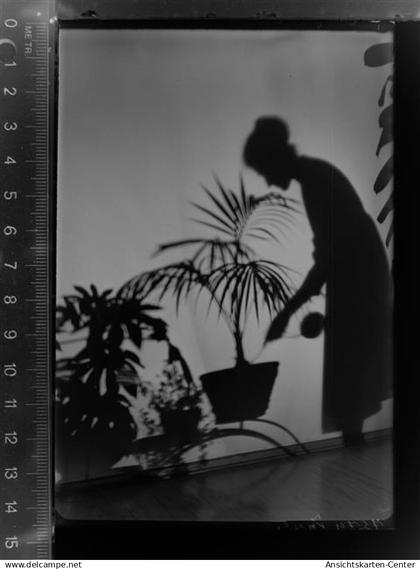 30031635 - Neumarkt , Oberpf