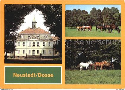 Neustadt Dosse Stuten Fohlen VE Hauptgestuet