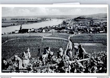 50826656 - Nierstein