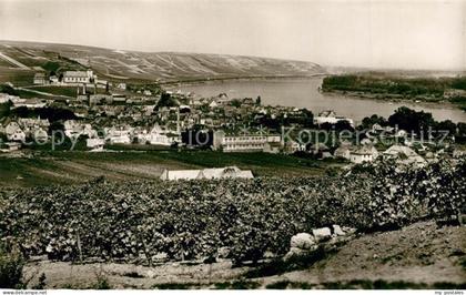 Nierstein Rhein Panorama