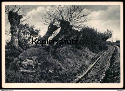 ALTE POSTKARTE LENGERICH IN WESTFALEN WALLHECKE (BEI RINGEL) Ansichtskarte AK postcard cpa