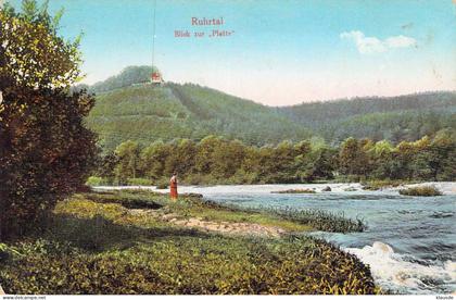 Ruhrtal - Blick zur Platte gel.1926