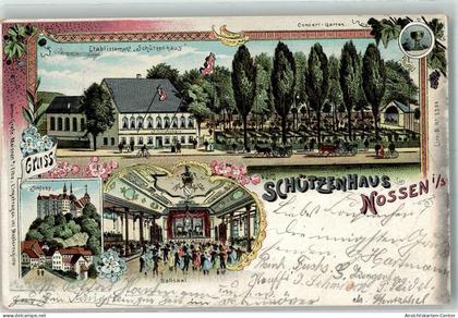 13637890 - Nossen