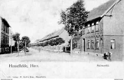 Vorläuferpostkarte : ALLEMAGNE - BASSE-SAXE - HASSEFELDE, HARZ - SALZMARKT