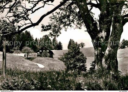 Steibis Oberstaufen Bayern Gaesteheim Matt