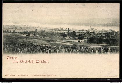 AK Oestrich-Winkel, Ortsansicht aus der Ferne