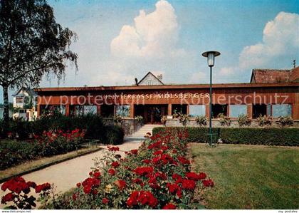 Oestrich-Winkel Maisbergers Rheinterrasse Winstube