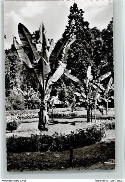 40143710 - Offenburg