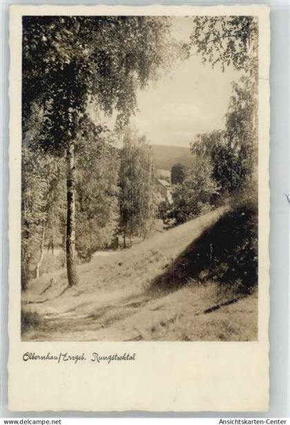 51147368 - Olbernhau