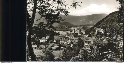 Oppenau Panorama