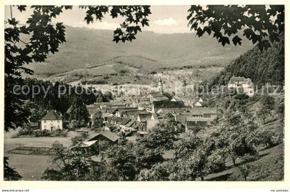 Oppenau Panorama