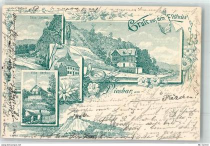 01612 O8401 Diesbar-Seußlitz 1897 Lithographie Vorläufer Elbtal Kgl. For... - 13625618