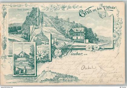 01612 O8401 Diesbar-Seußlitz 1898 Lithographie Böse Bruder Villa Herbst ... - 13605225