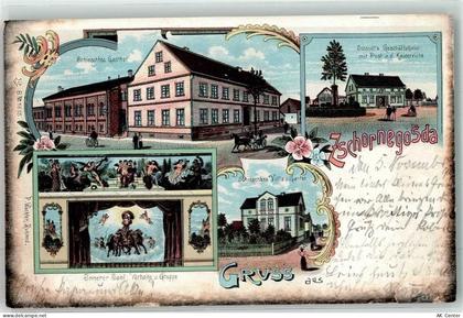 01987 O7817 Zschornegosda OT Schwarzheide 1899 Lithographie Schieschkes ... - 13625749
