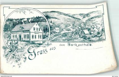08324 O9403 Bockau Lithographie Vorläufer Gasthaus Bockauthale Farn Ort ... - 13629359