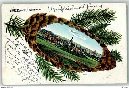 08496 O9801 Neumark , Sachs 1903 Lithographie Tannenzapfen Passepartout... - 13635418
