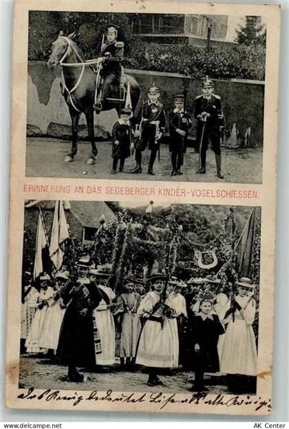 23795 W2360 Bad Segeberg 1910 Foto AK Bad Segeberg Volksfest Kinder-Voge... - 13642522