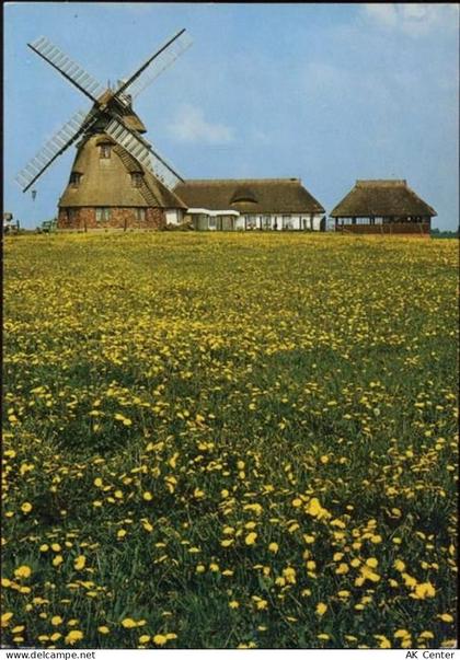 23966 O2401 Dorf Mecklenburg um 1988 - Dorf Mecklenburg, Windmühle, (win... - 20053478