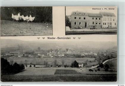 35329 W6316 Nieder-Gemünden 1913 - Gasthaus Ph. Södler Hühner - 13622258