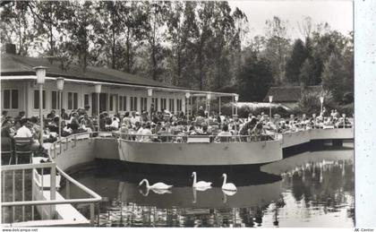 37581 W3353 Bad Gandersheim um 1950/60 - Bad Gandersheim, Restaurant See... - 20028189