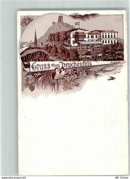 53639 W5330 Drachenfels Lithographie Schloß Drachenfels Aussichts-Platfo... - 13515203