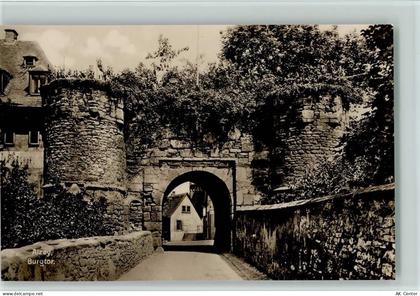 55232 W6508 Alzey - Burgtor - 11013025