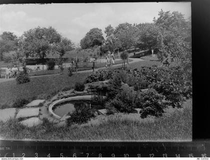 56470 W5439 Bad Marienberg (Westerwald) GLASNEGATIV Park - 30073402