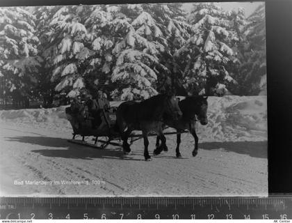 56470 W5439 Bad Marienberg (Westerwald) GLASNEGATIV Pferdeschlitten - 30073391