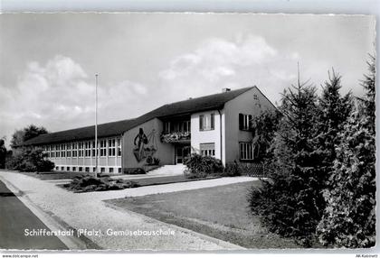 67105 W6707 Schifferstadt - Gemüsebauschule - 51639849