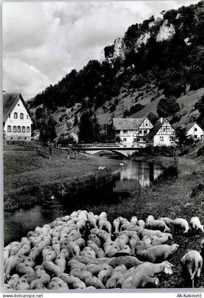 72525 W7420 Gundelfingen , Württ - Gasthaus Pension zur Wittstaig Ruine ... - 51655387
