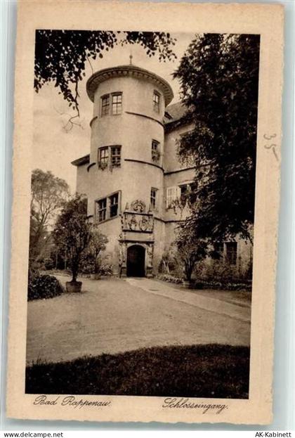 74906 W6927 Bad Rappenau Gebrauchsspuren Wasserschloss Bad Rappenau Eing... - 39524585