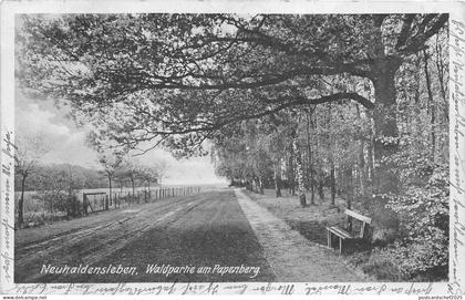 bg18752 Haldensleben NeuHaldensleben papenburg 1917   germany