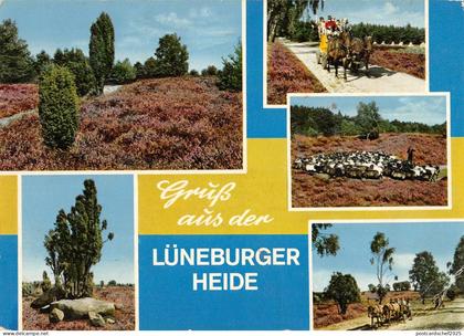 BT7227 Luneburger Heide    Germany