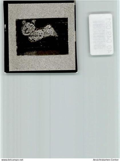 40049091 - Papenburg