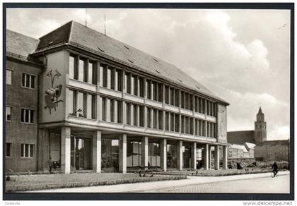 2481 - alte Foto Ansichtskarte - Pasewalk HO Kaufhaus Warenhaus - n. gel TOP