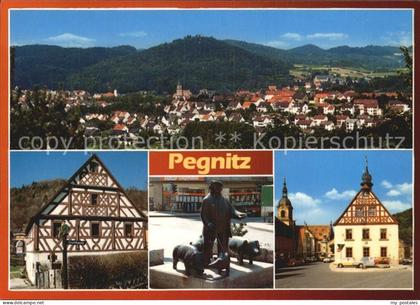 Pegnitz Denkmal Fachwerkhaus Panorama
